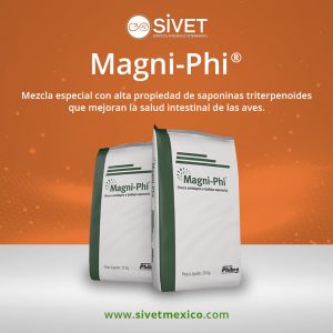 Magni-phi