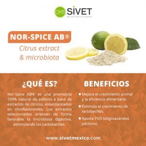 Nor-Spice AB