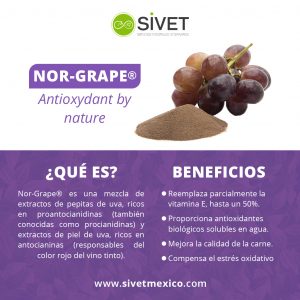 Nor-Grape